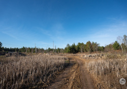 29-Real-World-16mm