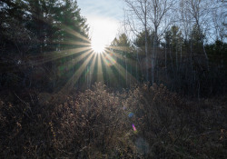 37-Flare-Artifacts-5