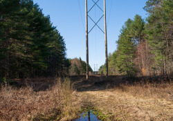 1_16-28-DN-Samples-10