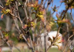 1_16-28-DN-Samples-2