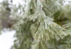 35-Bokeh-1 35-Bokeh-1