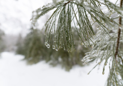 35-Bokeh-2 35-Bokeh-2