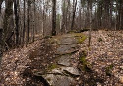 Sigma 17mm F4 DG DN (iSeries) Review - DustinAbbott.net