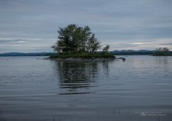 Focal Range-2