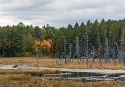 31-Landscape-2