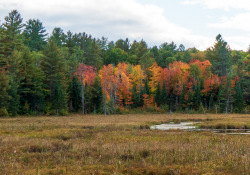 31-Landscape-3
