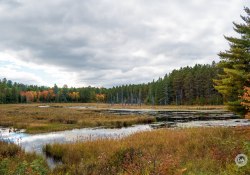 31-Landscape
