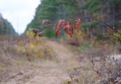 12-Late-Autumn-1