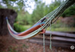 46-Hammock