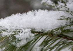 17-Snowflakes-2