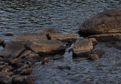 16-Unsharp-2