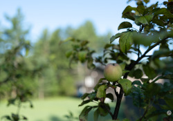 38-More-Bokeh-2