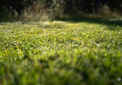 38-More-Bokeh-5