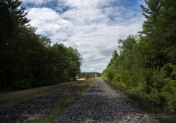 Landscape Examples-3