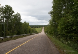 Landscape Examples-5