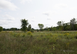 Landscape Examples-8