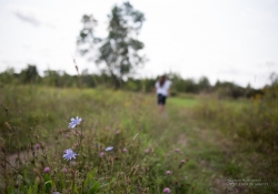Storytelling Bokeh-2