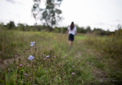 Storytelling Bokeh