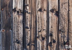 24mm Wide Open M Center