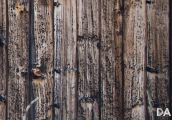 24mm Wide Open right