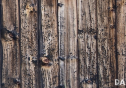 35mm Wide Open Right