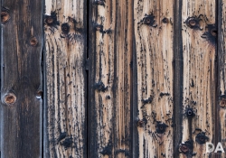 50mm Wide Open Middle