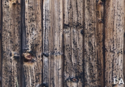 50mm Wide Open Right