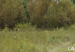 Landscape at 32mm f56 Left