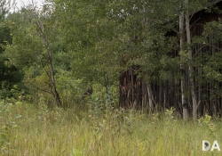 Landscape at 32mm f56 Middle