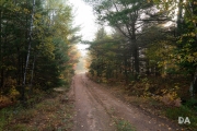 Foggy AM-9