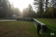 Foggy AM