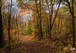 26 Landscape Samples-7