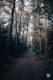 24DN-ART-Samples-52