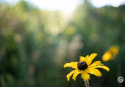 17-Defocused