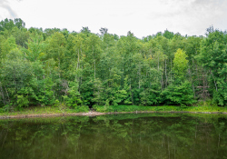 31-Real-World-Landscape-1