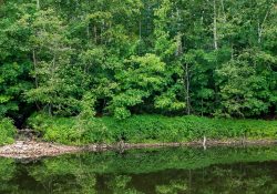 31-Real-World-Landscape-2