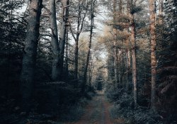 38-Imagination