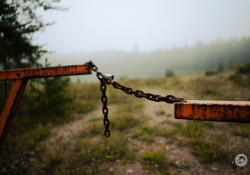 31-Bokeh-2