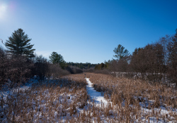 21-Landscape