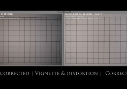 22-Vignette