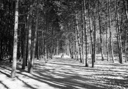 26-Narnia