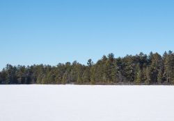 27-Crops-2