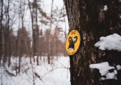 31-Bokeh-5