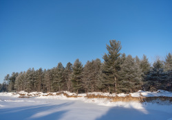 31-Real-World-28mm