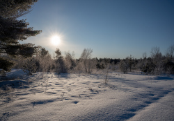 37-Flare-2