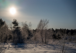 37-Flare-4