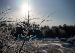 37-Flare-6