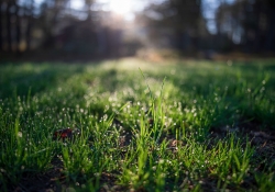 First Cut (Sigma 28mm F1.4 ART)