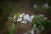 19-Final-Image-3