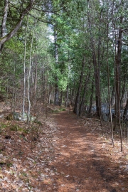Shaw-Woods-11